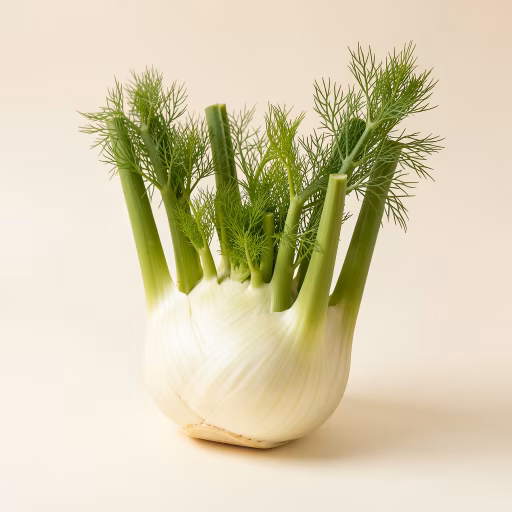 Fenchel
